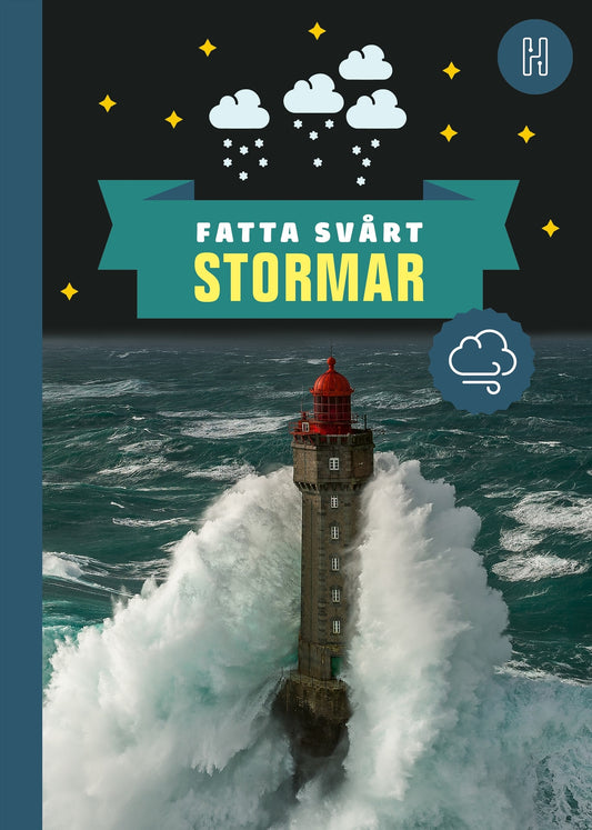 Stormar – E-bok