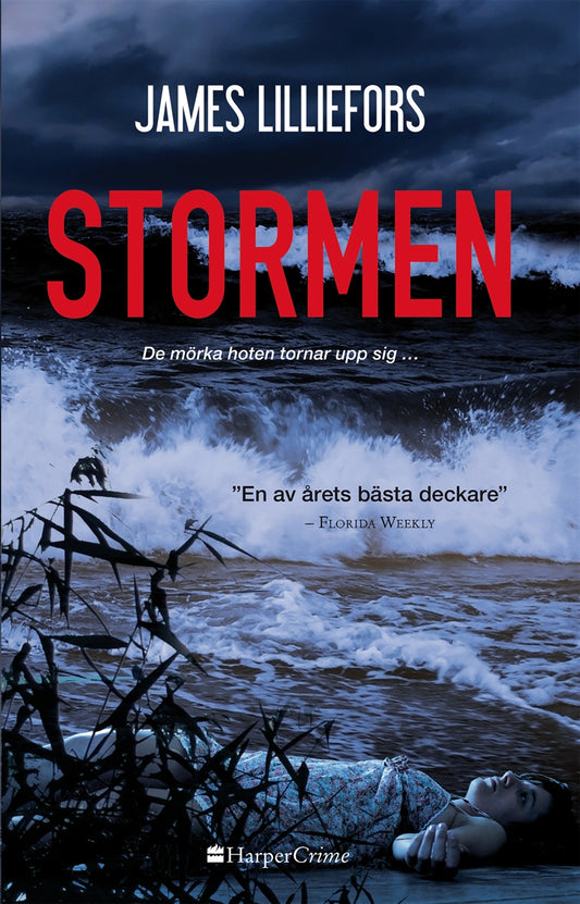 Stormen – E-bok
