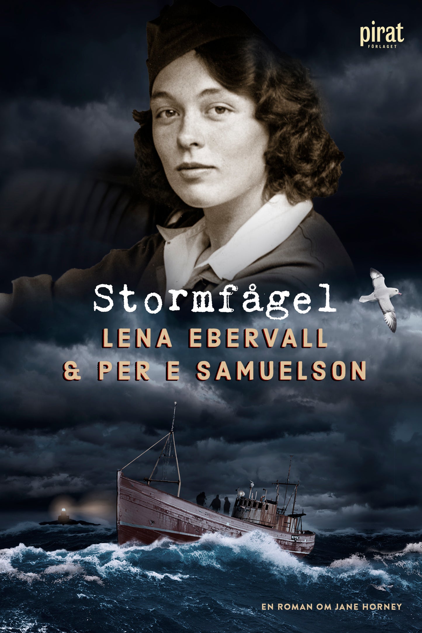 Stormfågel – E-bok