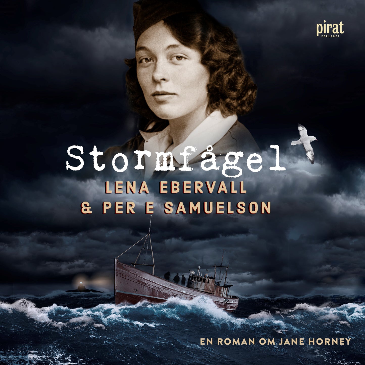 Stormfågel – Ljudbok
