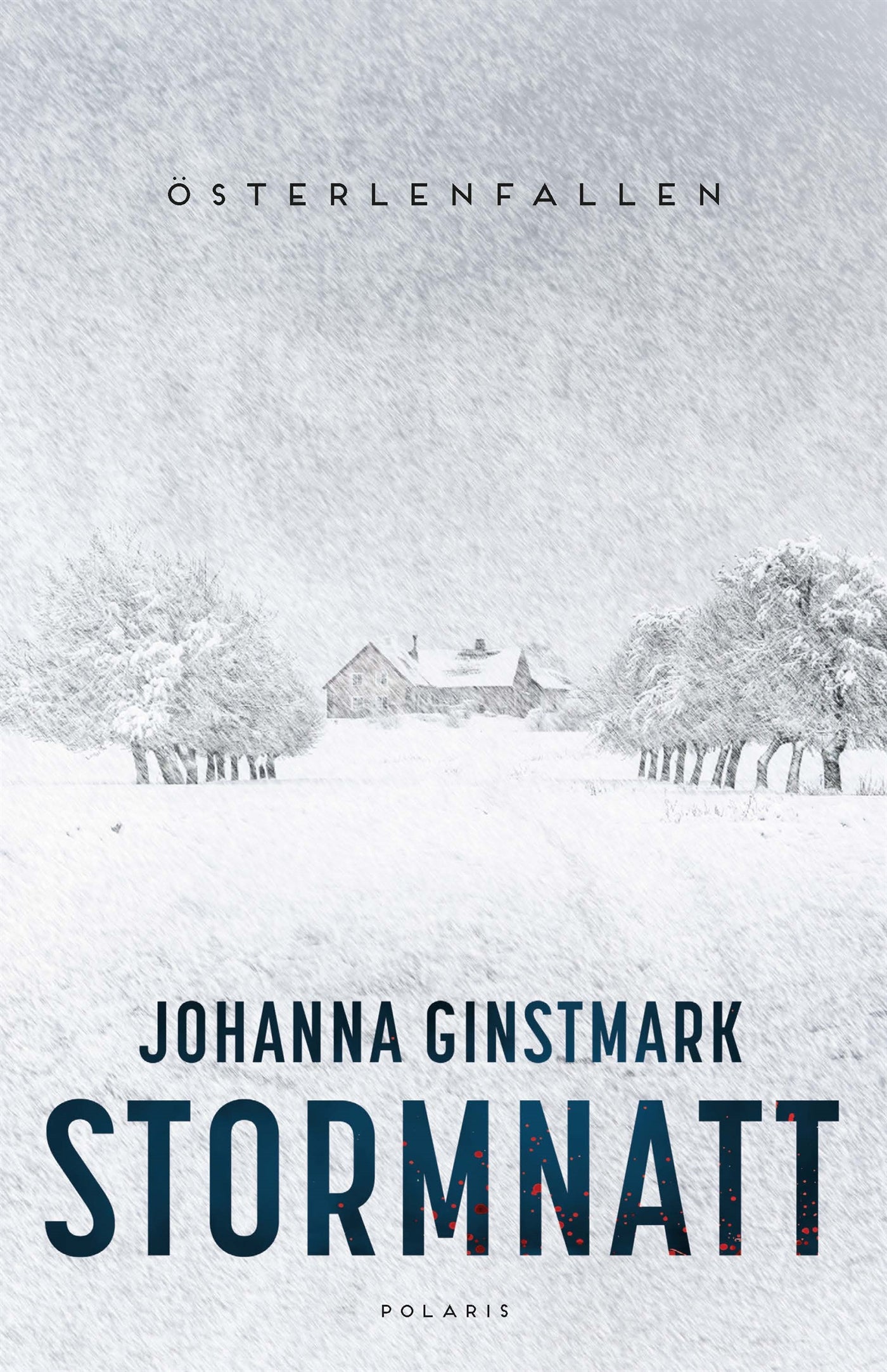 Stormnatt – E-bok