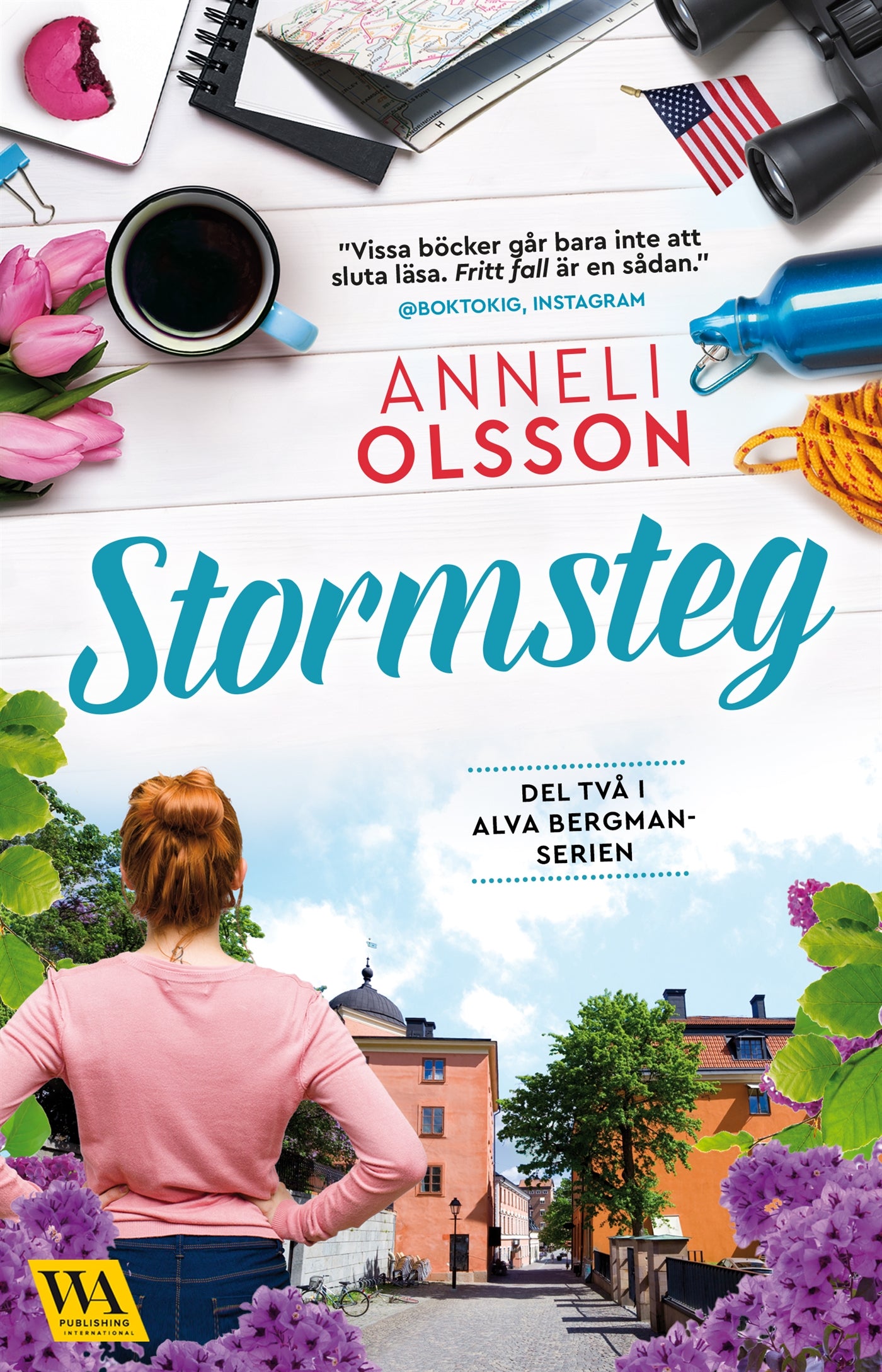 Stormsteg – E-bok