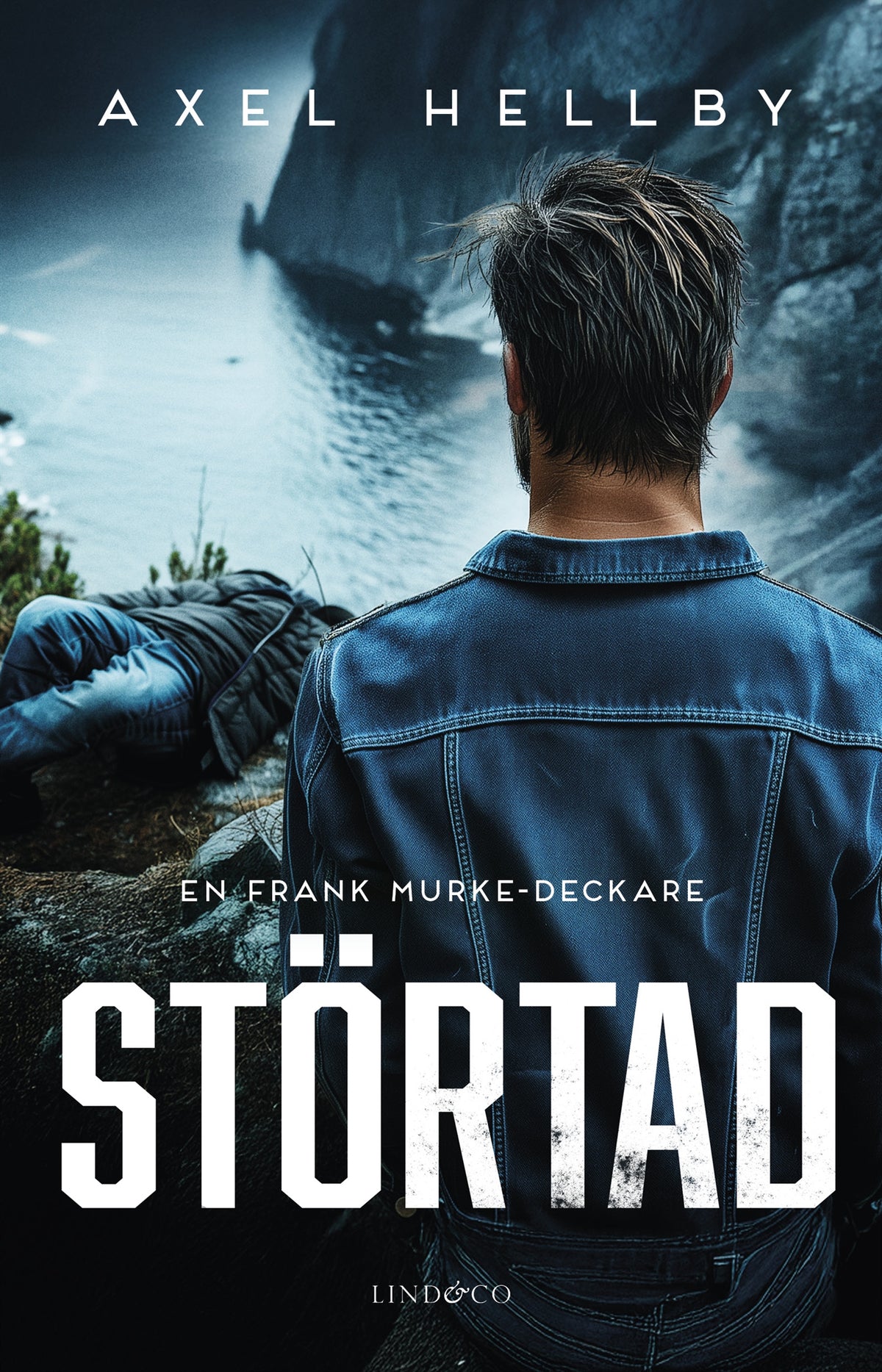 Störtad – E-bok