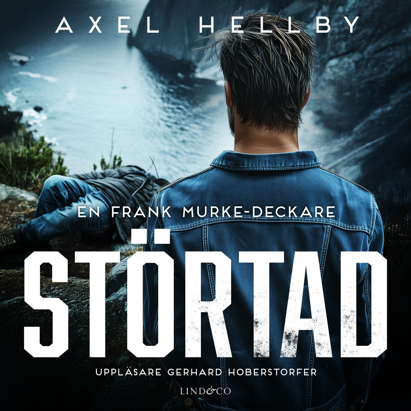 Störtad – Ljudbok