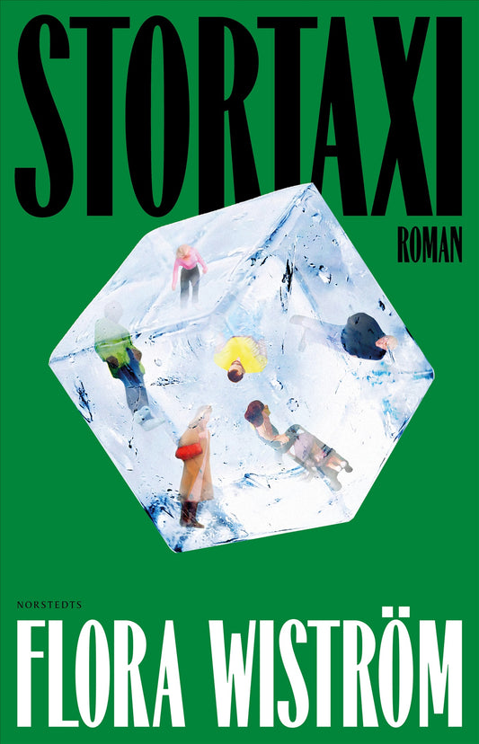 Stortaxi – E-bok