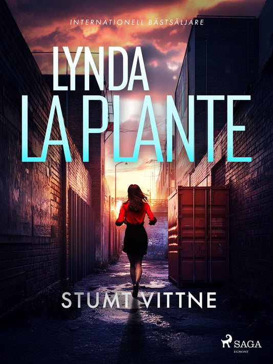 Stumt vittne – E-bok