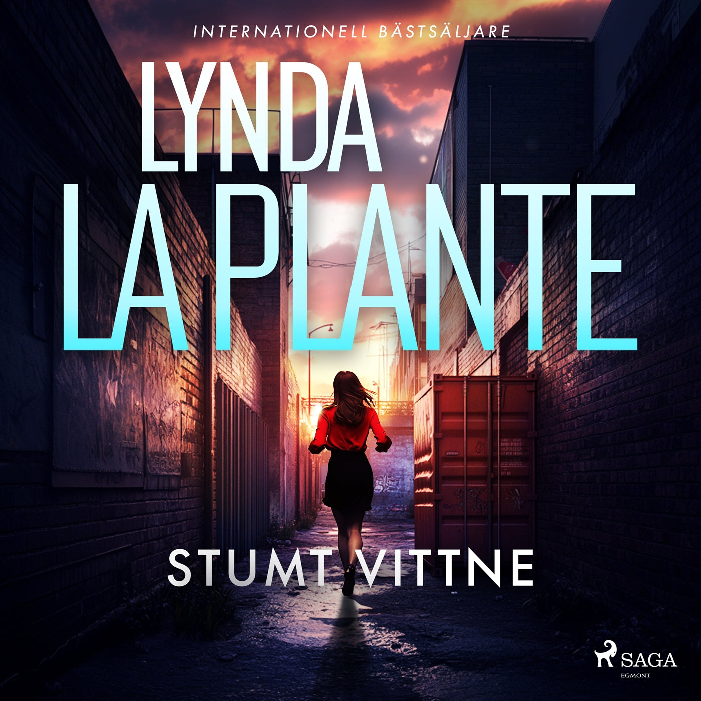 Stumt vittne – Ljudbok