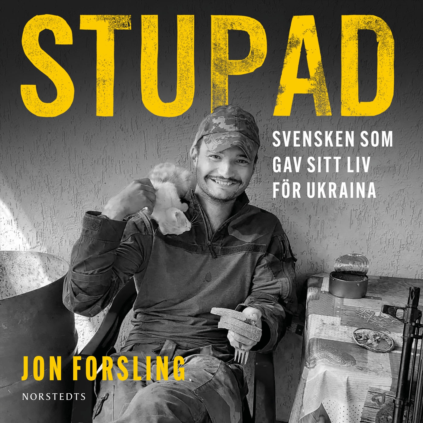 Stupad : Svensken som gav sitt liv för Ukraina – Ljudbok