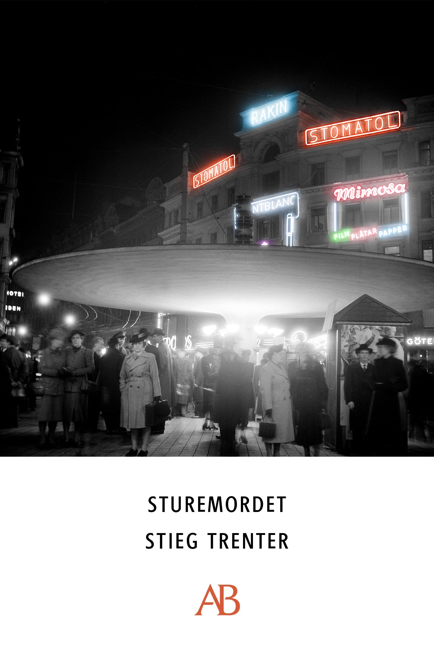 Sturemordet – E-bok