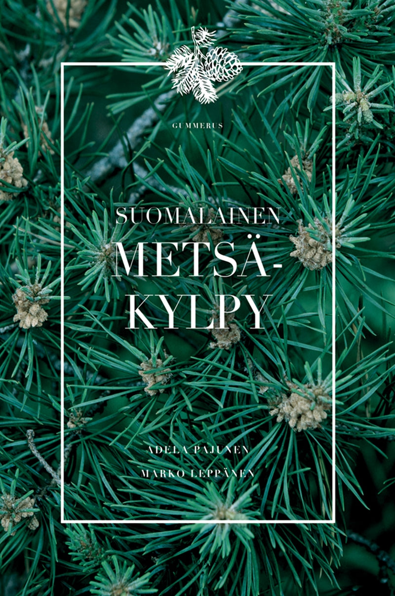 Suomalainen metsäkylpy – E-bok