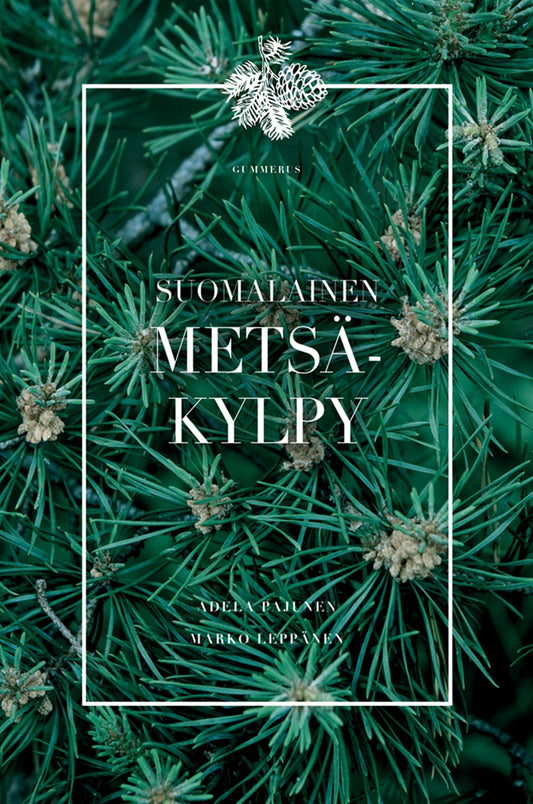 Suomalainen metsäkylpy – E-bok