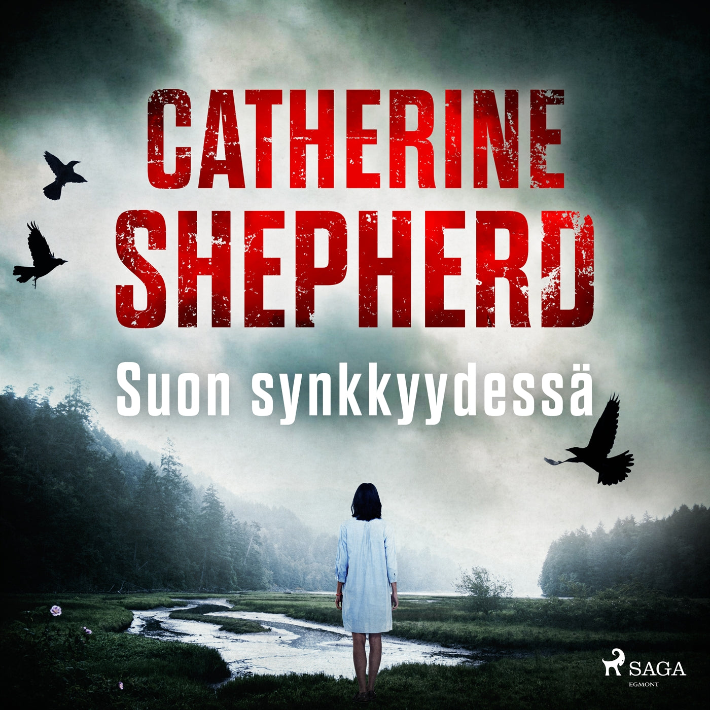 Suon synkkyydessä – Ljudbok