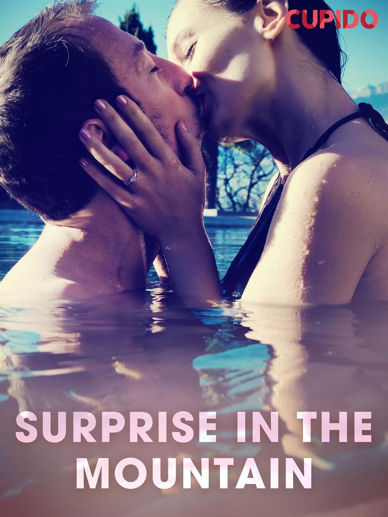 Surprise in the Mountain – E-bok