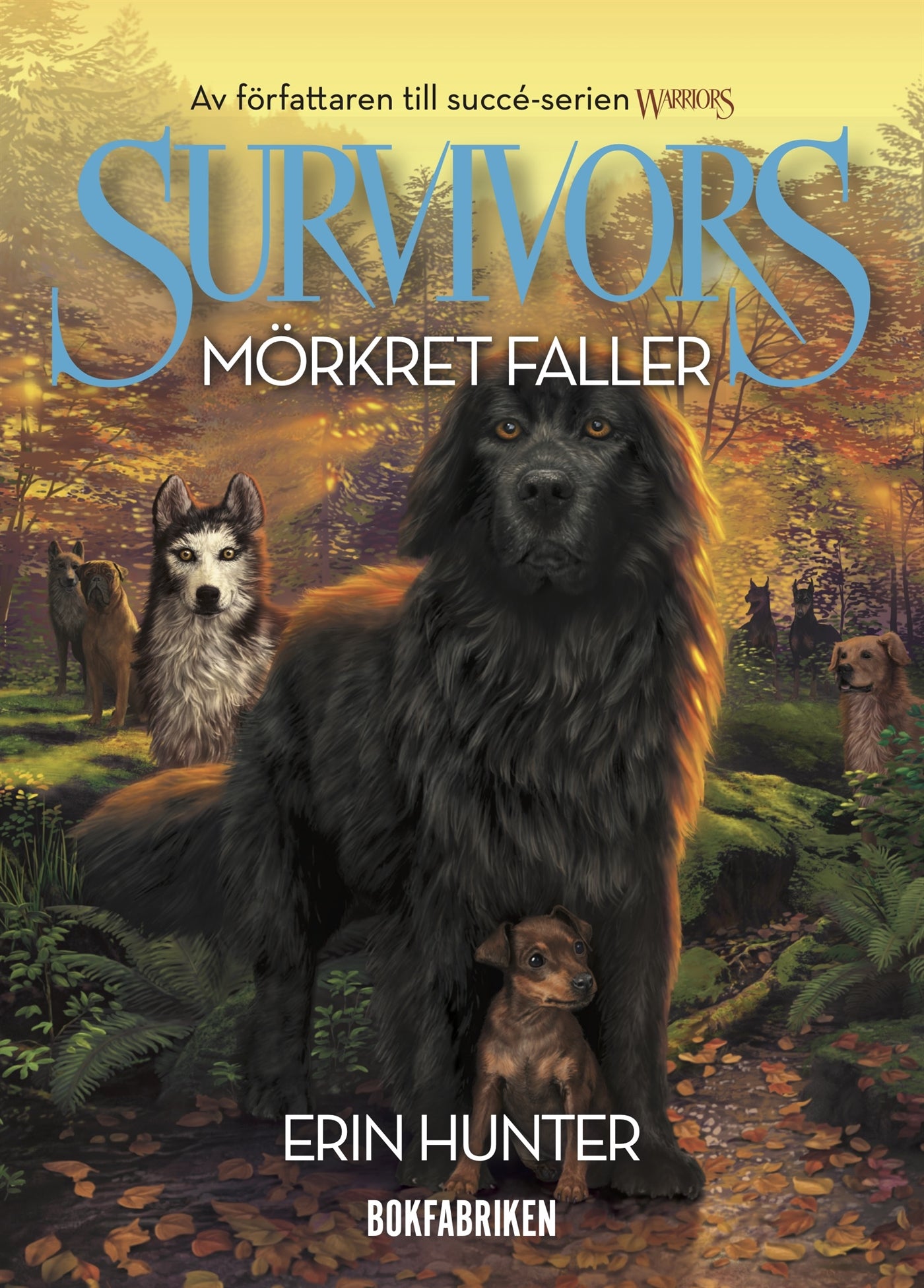 Survivors 1.3 Mörkret faller – E-bok