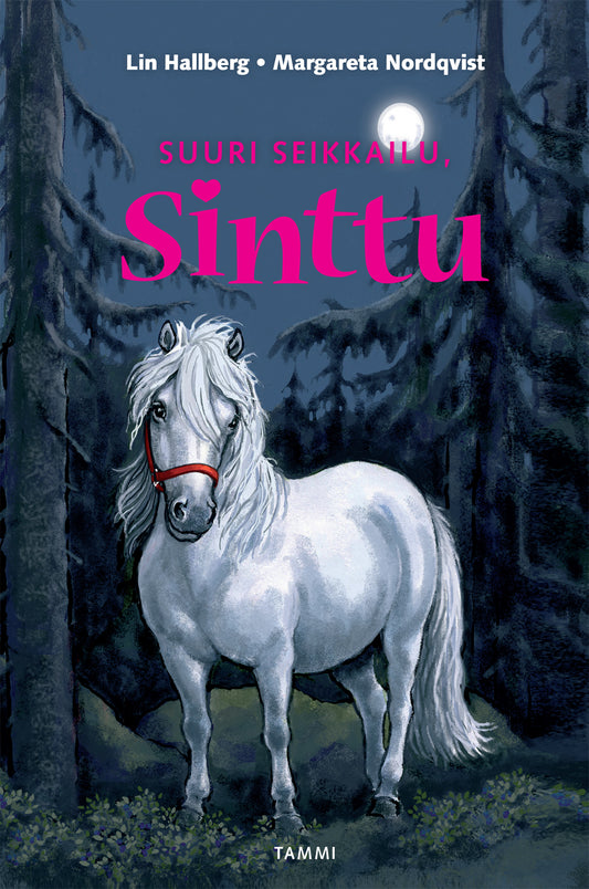 Suuri seikkailu, Sinttu – E-bok