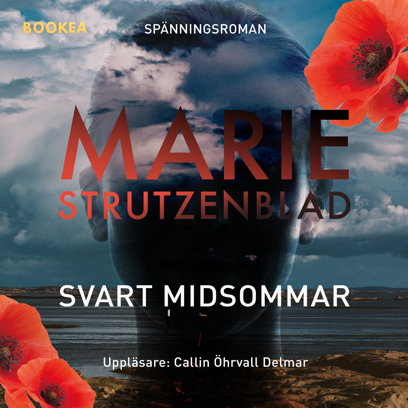 Svart midsommar – Ljudbok