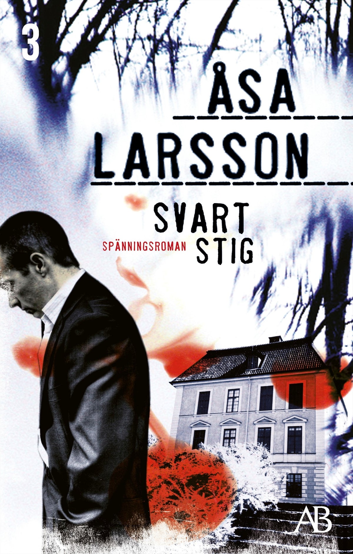 Svart stig – E-bok