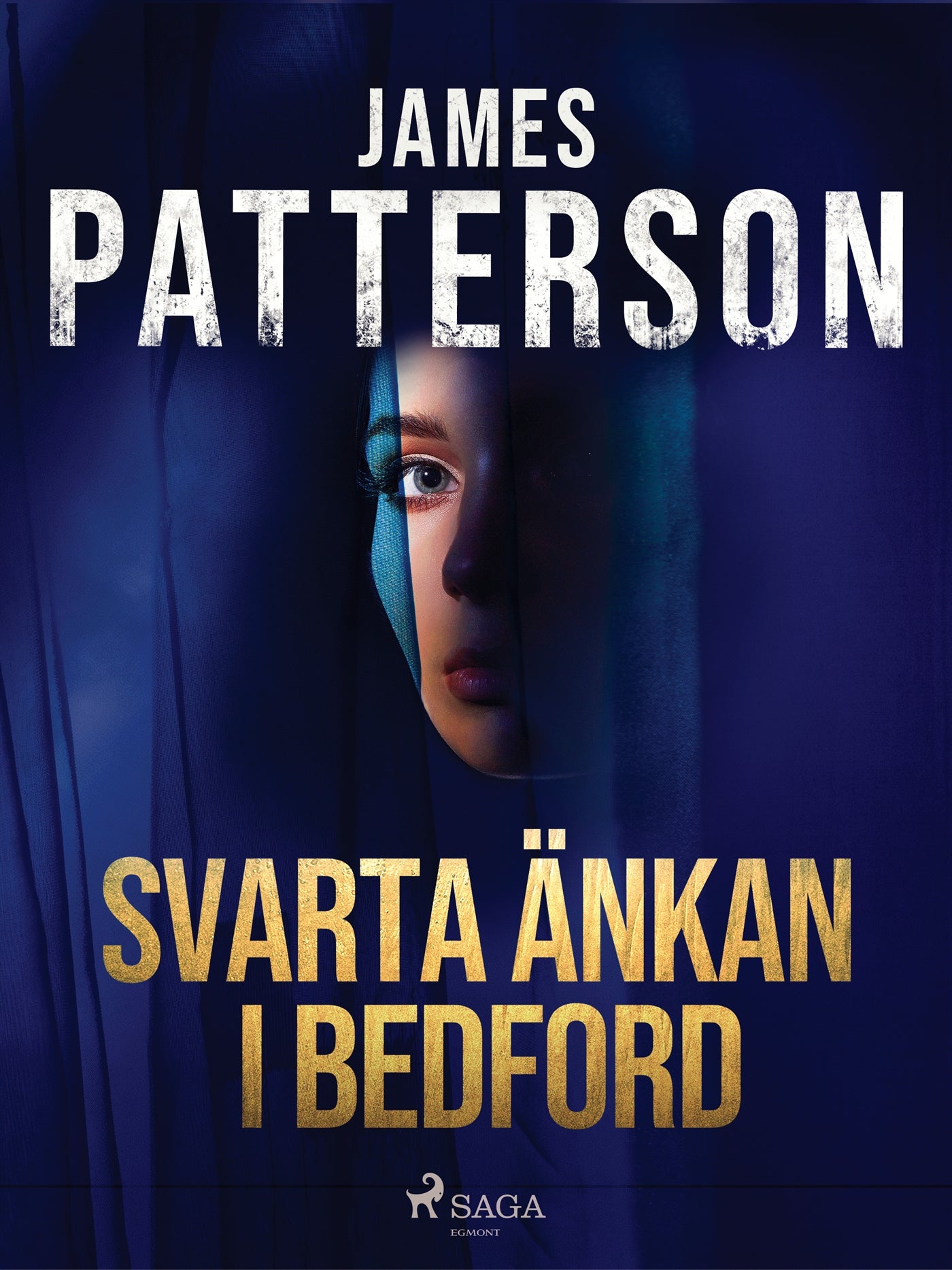 Svarta änkan i Bedford – E-bok