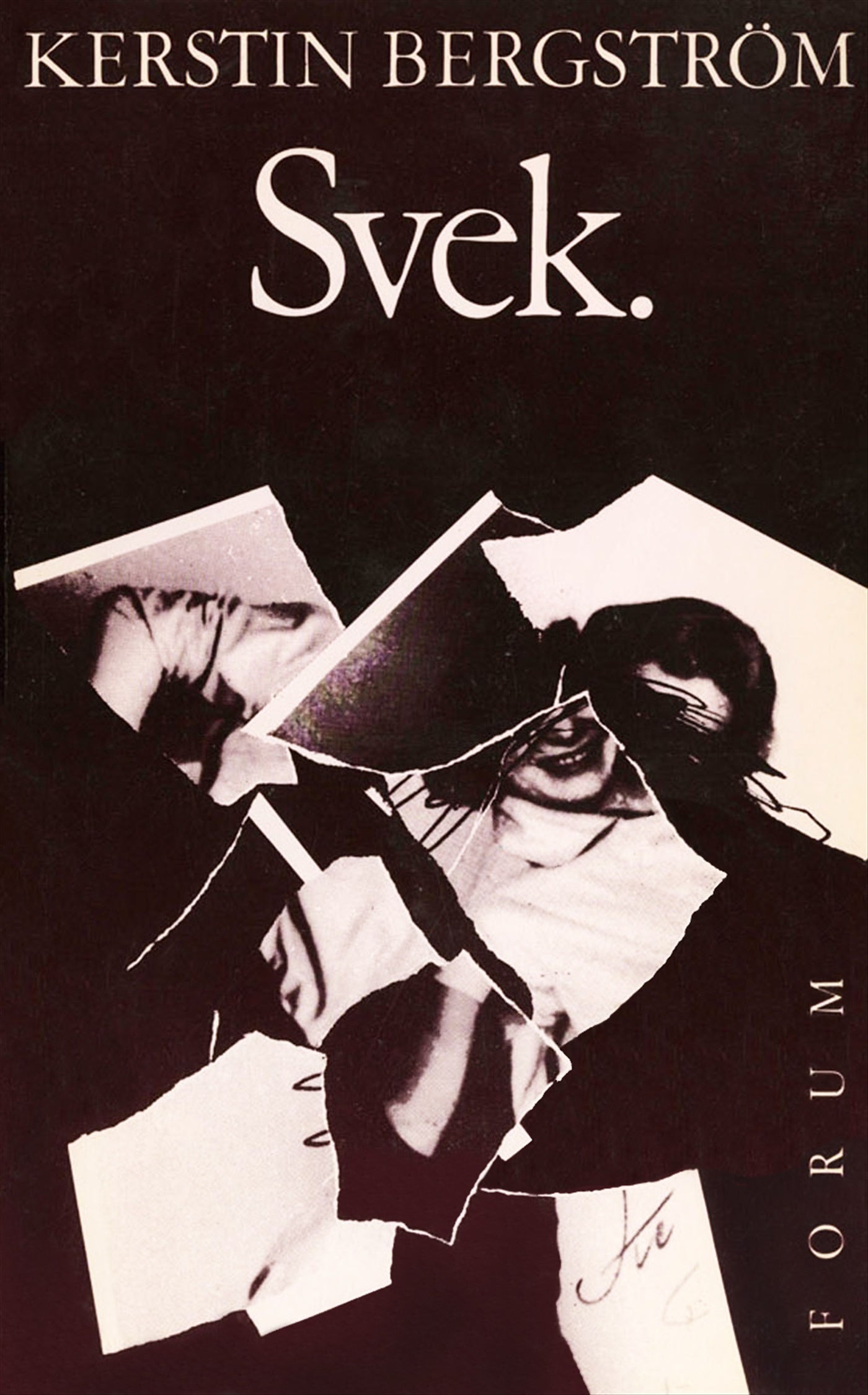 Svek – E-bok