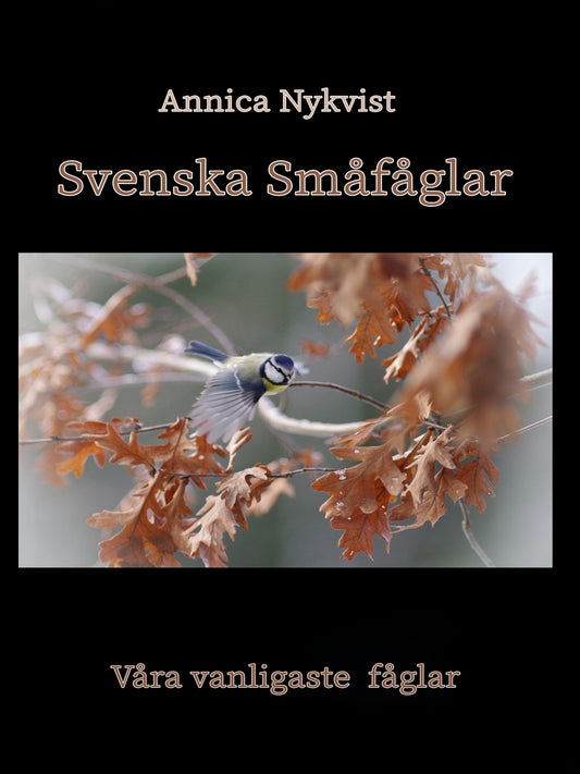 Svenska Småfåglar: våra vanligaste fåglar – E-bok
