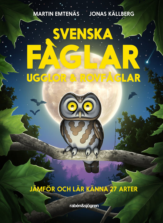 Svenska fåglar : ugglor och rovfåglar : jämför och lär känna 29 arter – E-bok