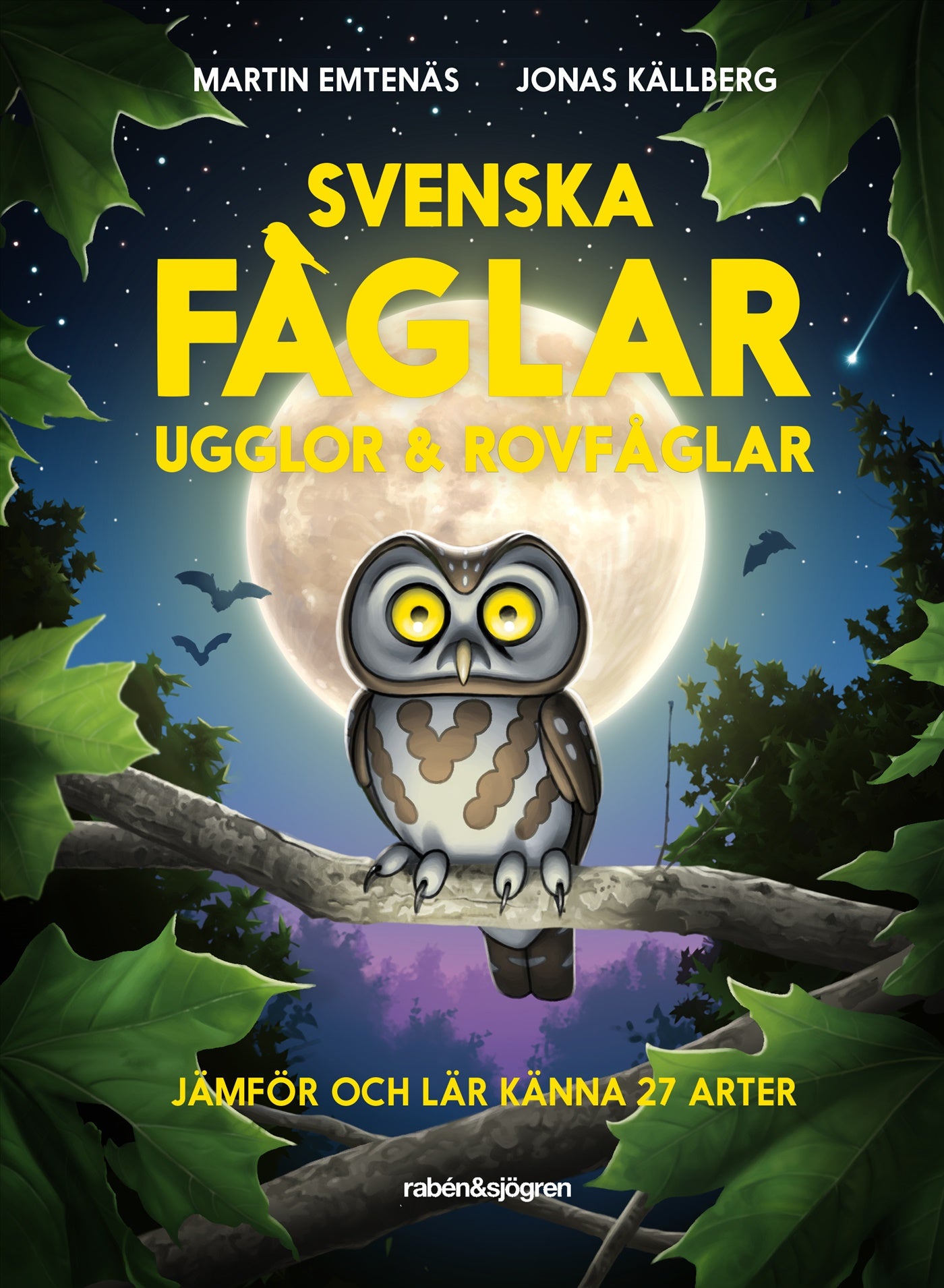 Svenska fåglar : ugglor och rovfåglar : jämför och lär känna 29 arter – E-bok