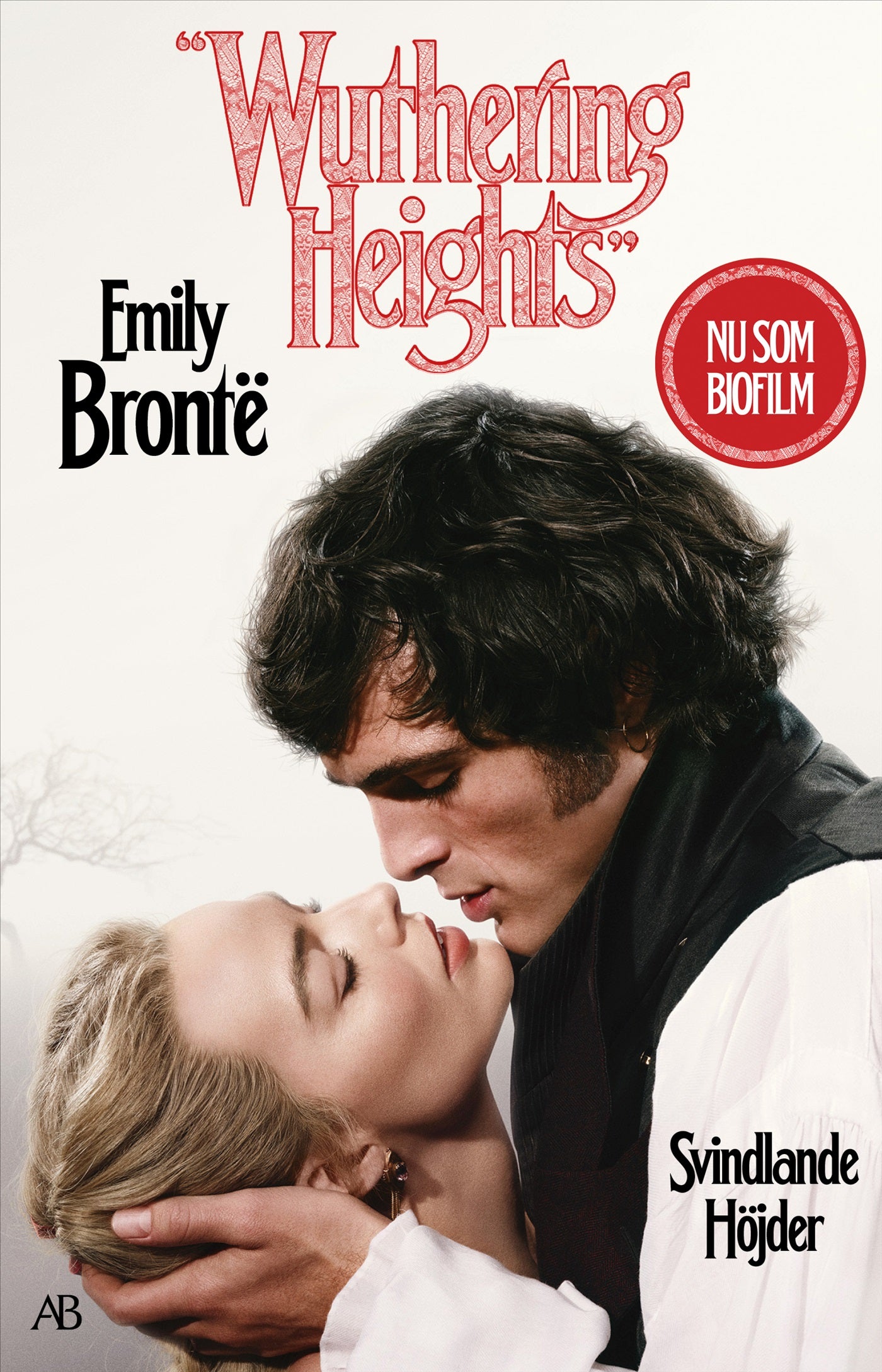 Svindlande höjder – E-bok