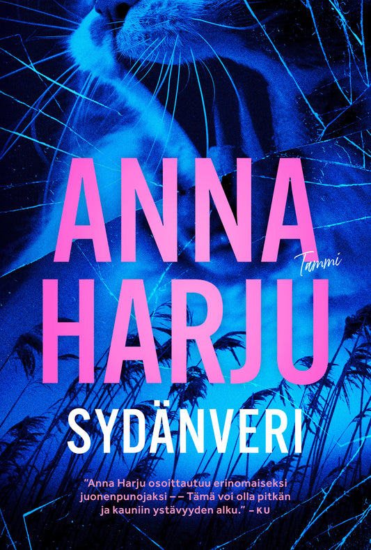 Sydänveri – E-bok