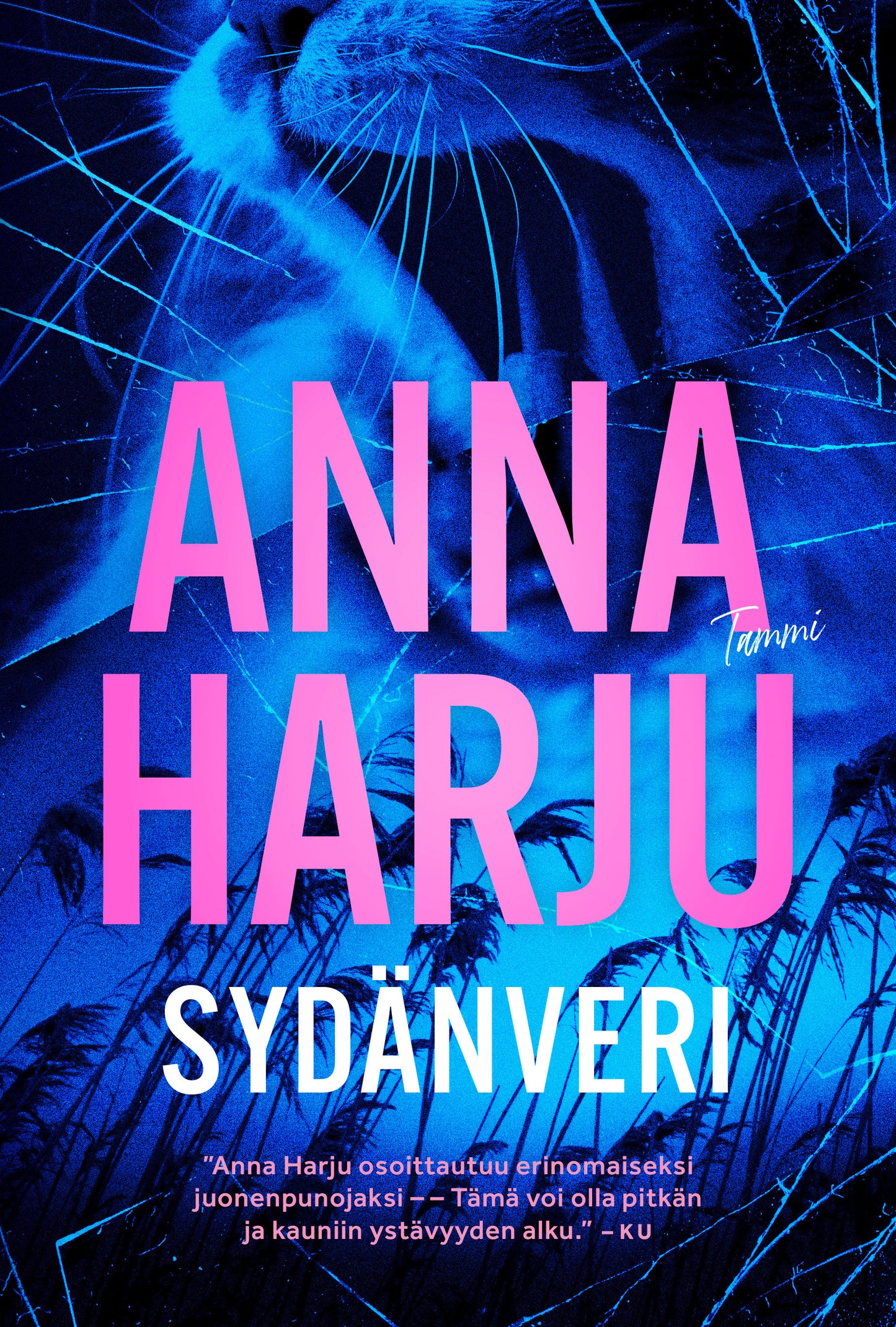 Sydänveri – E-bok