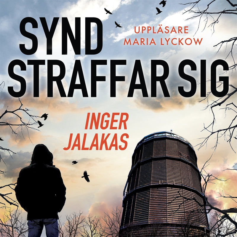Synd straffar sig – Ljudbok