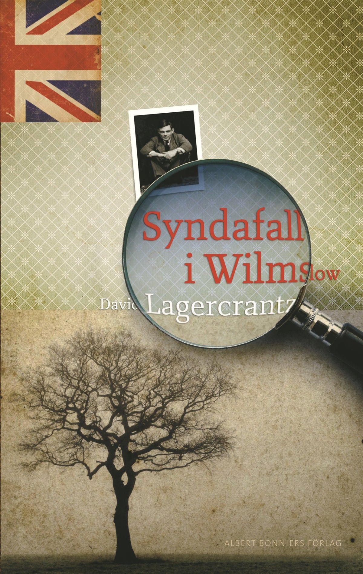 Syndafall i Wilmslow – E-bok