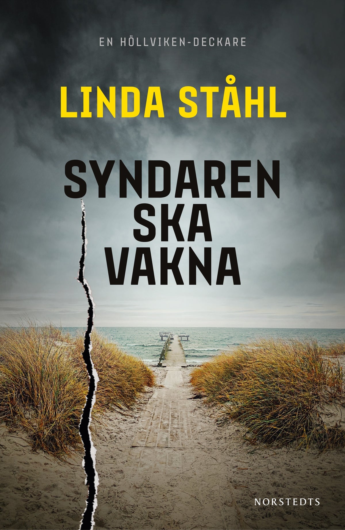Syndaren ska vakna – E-bok