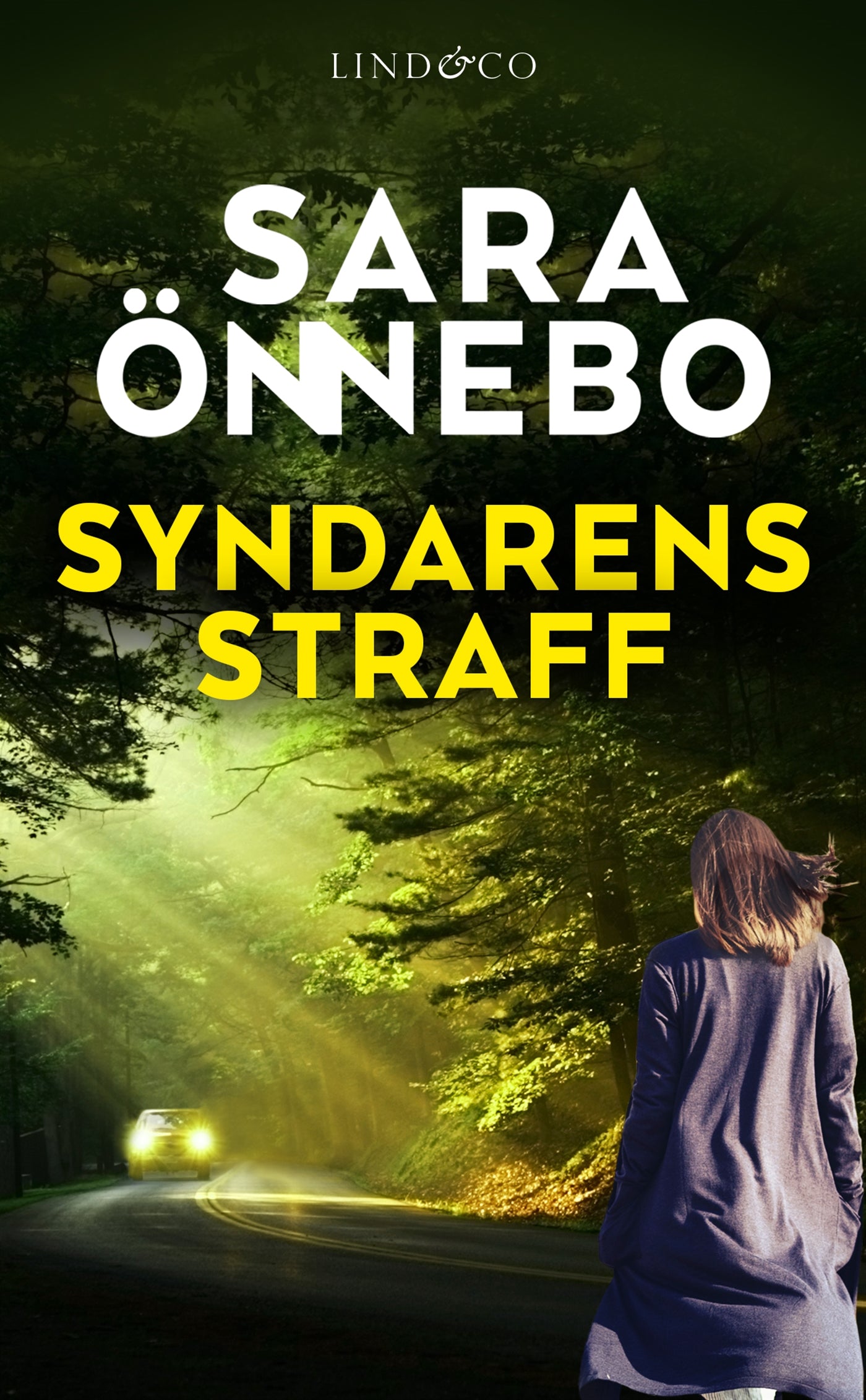 Syndarens straff – E-bok