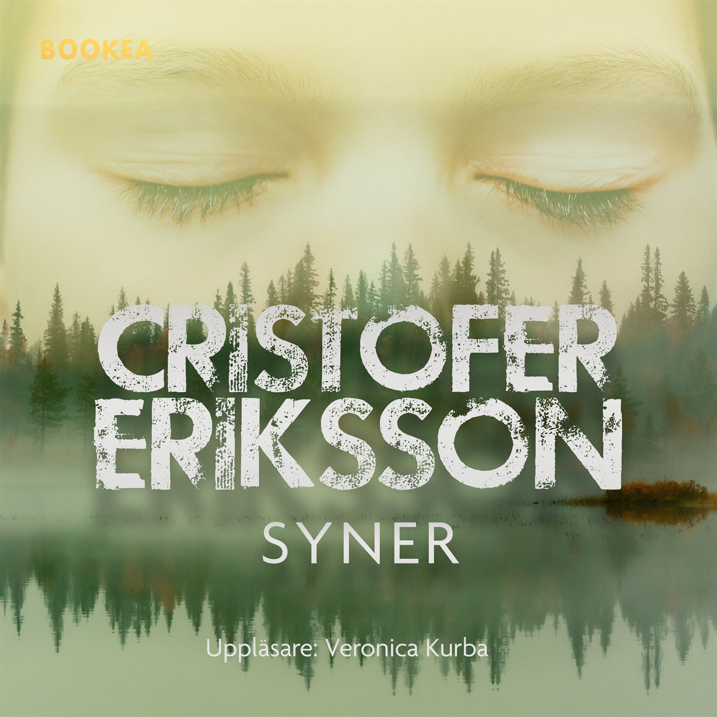 Syner – Ljudbok