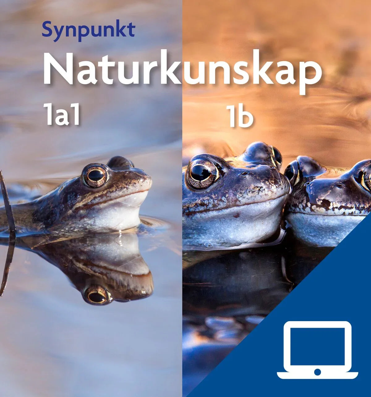 Synpunkt Naturkunskap 1a1+1b, digitalt lärarmaterial, 12 mån (OBS! Endast för lärare)