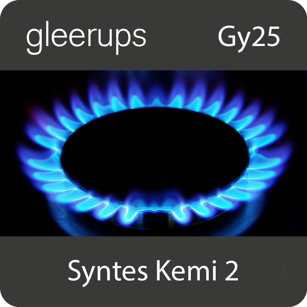Syntes Kemi 2, digitalt läromedel, elev, 12 mån, Gy25