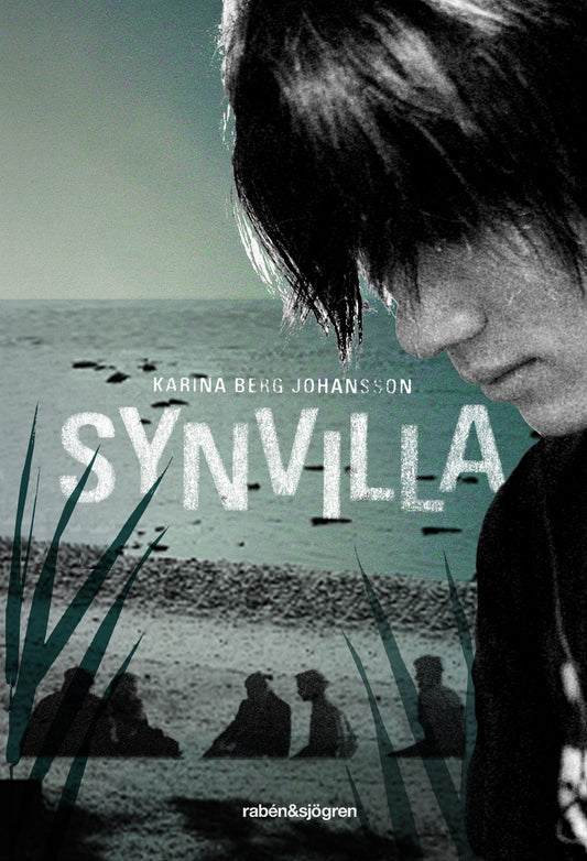 Synvilla – E-bok