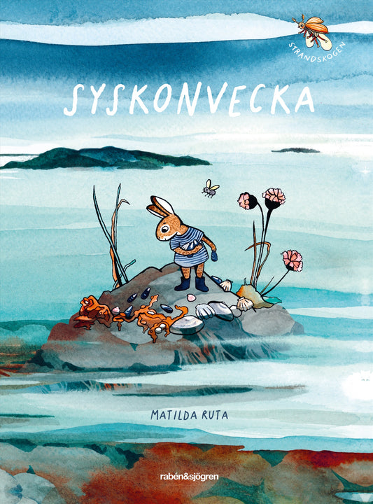 Syskonvecka – E-bok