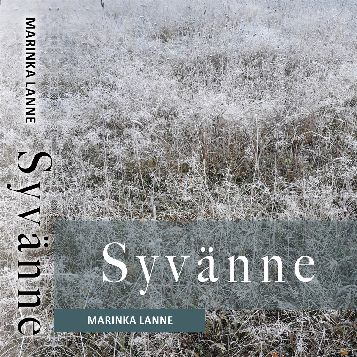 Syvänne – E-bok