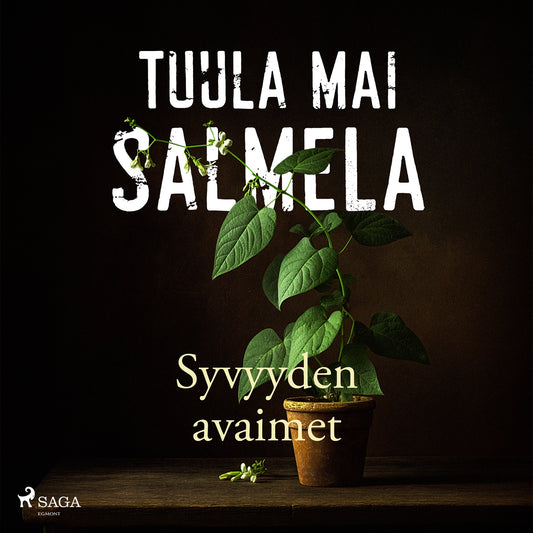 Syvyyden avaimet – Ljudbok