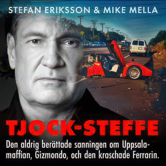 TJOCK-STEFFE – Ljudbok