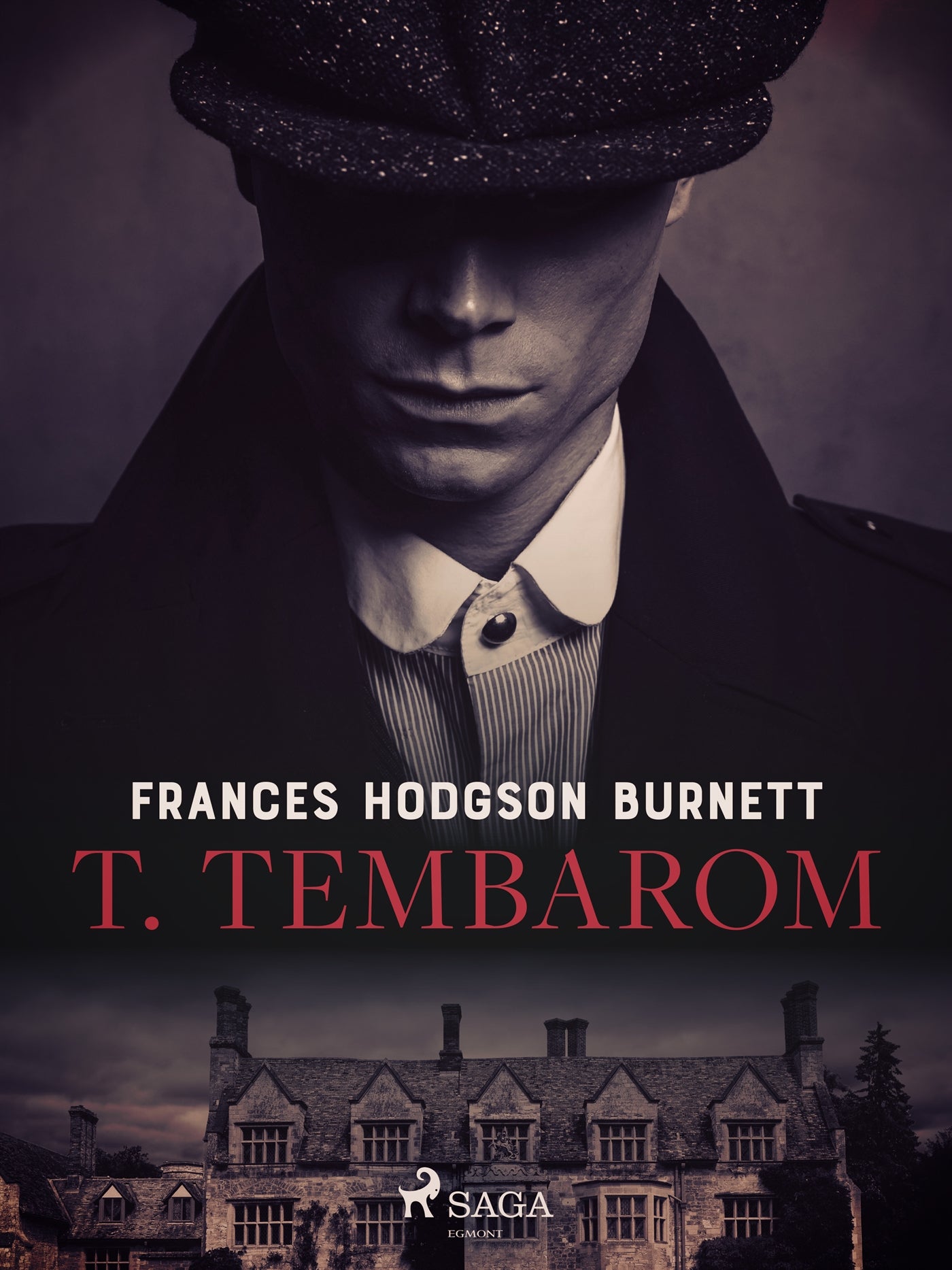 T. Tembarom – E-bok