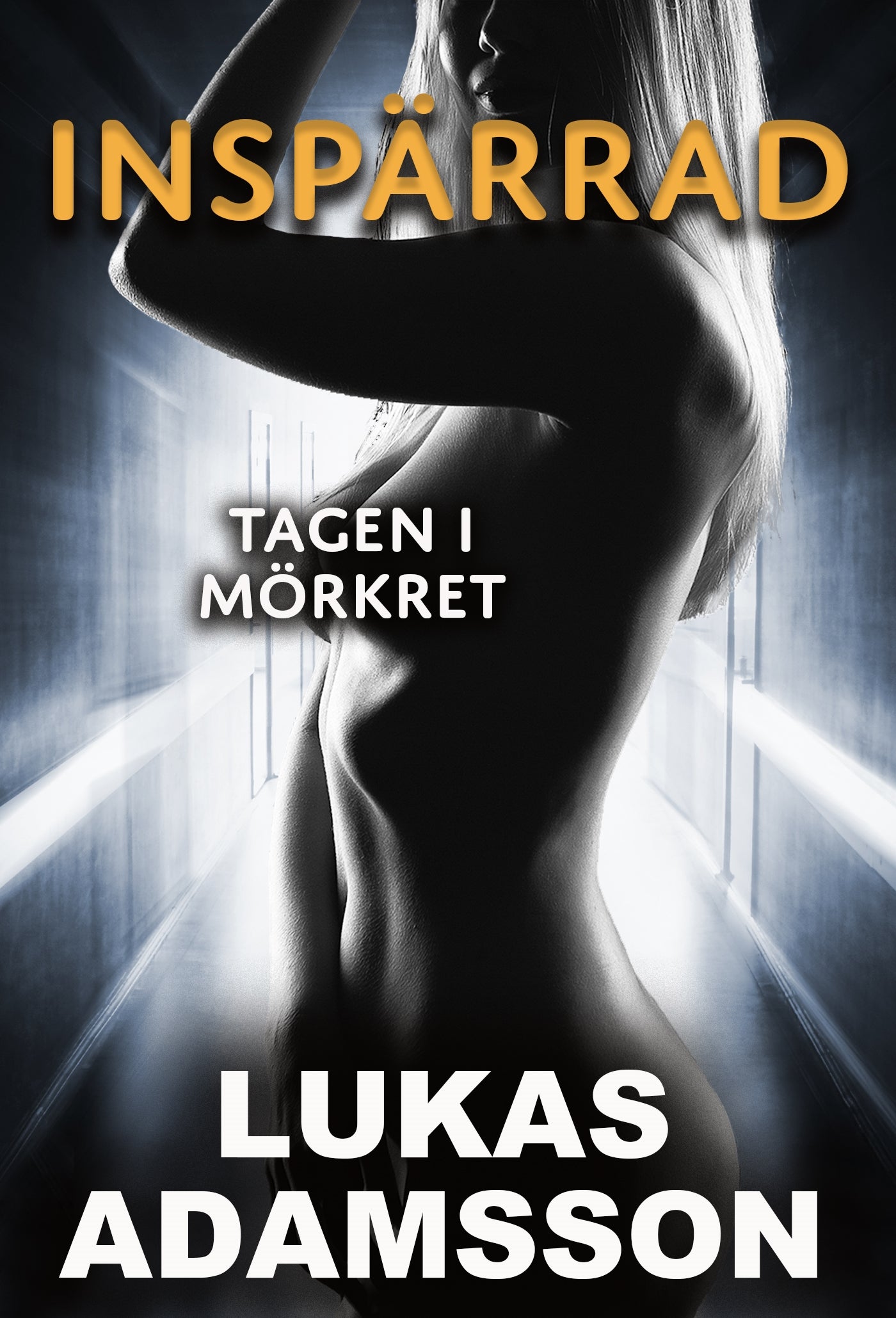 Tagen i mörkret – E-bok