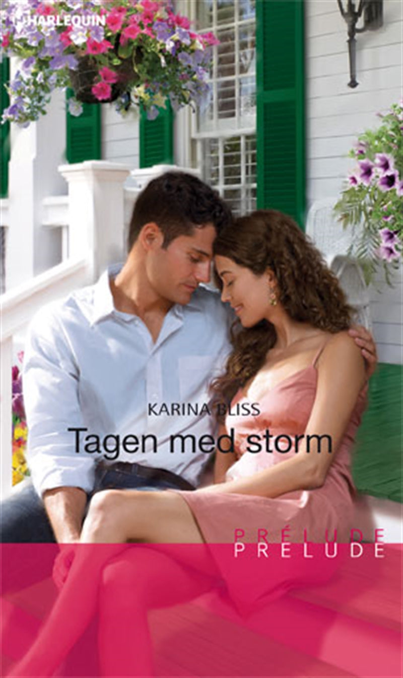 Tagen med storm – E-bok
