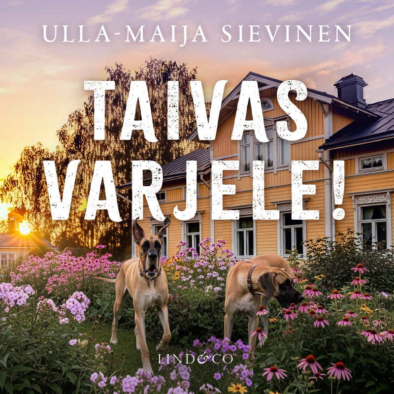 Taivas varjele! – Ljudbok