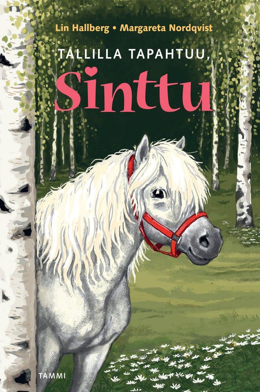 Tallilla tapahtuu, Sinttu – E-bok