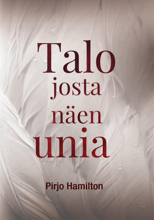 Talo josta näen unia – E-bok