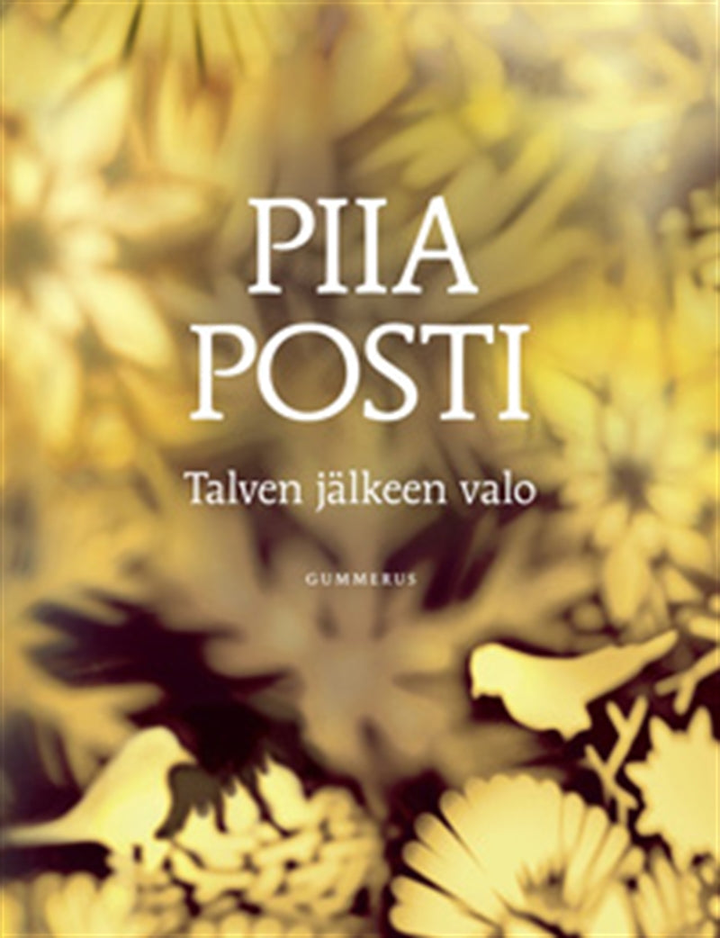 Talven jälkeen valo – E-bok