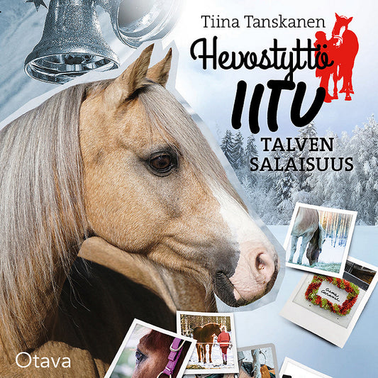Talven salaisuus – Ljudbok