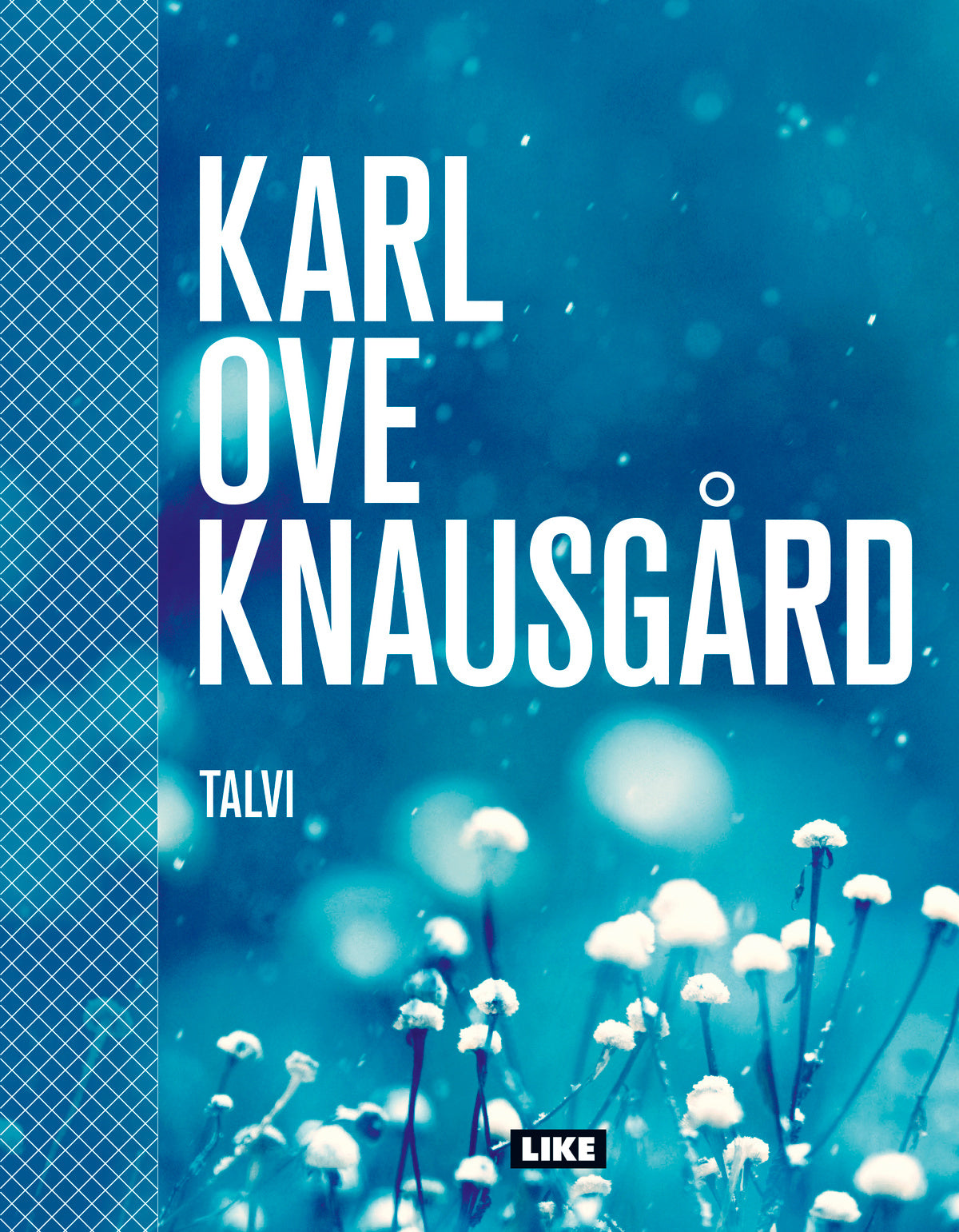 Talvi – E-bok
